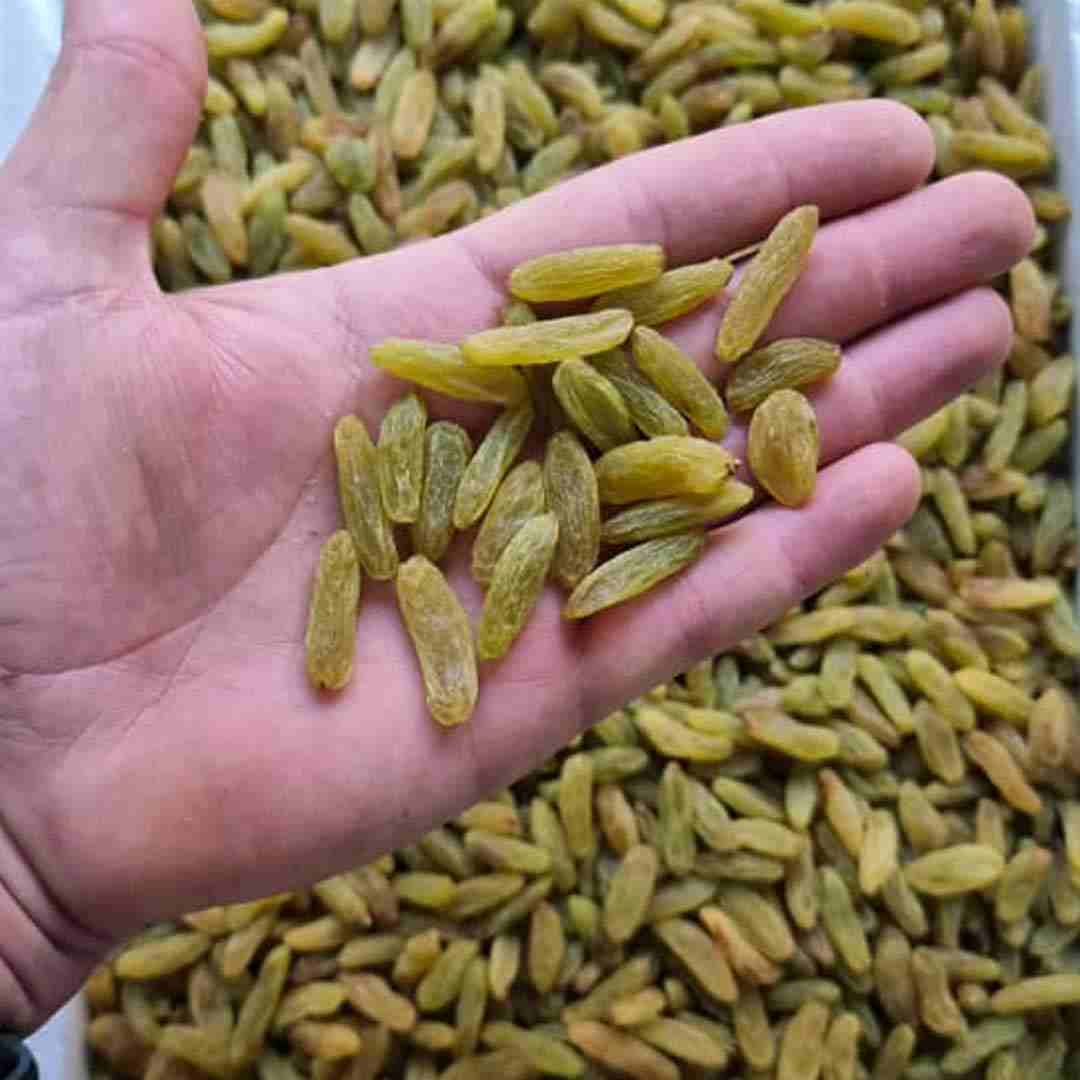 تصویر 3 از کشمش سبز تازه تهیه شده از بهترین تاکستان ها